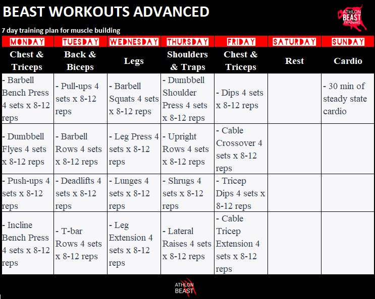7 day workout plan muscle building athlon beast