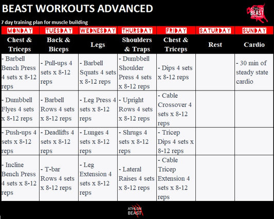 7 day workout plan muscle building athlon beast